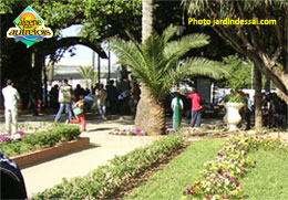Jardin d'Essai - visiteurs